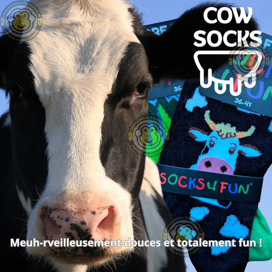 Tête de vache et chaussettes rigolotes