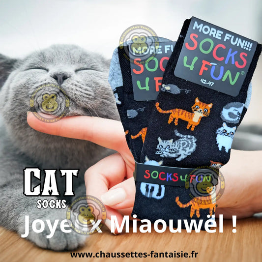 Chaussettes chat a qui on fait un calin
