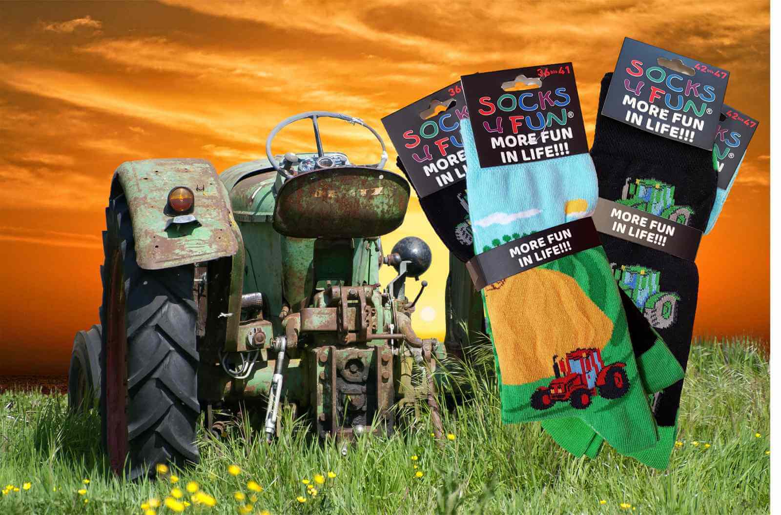 Vieux tracteur dans le pré et chaussettes fantaisie sur le thème de l'agriculture