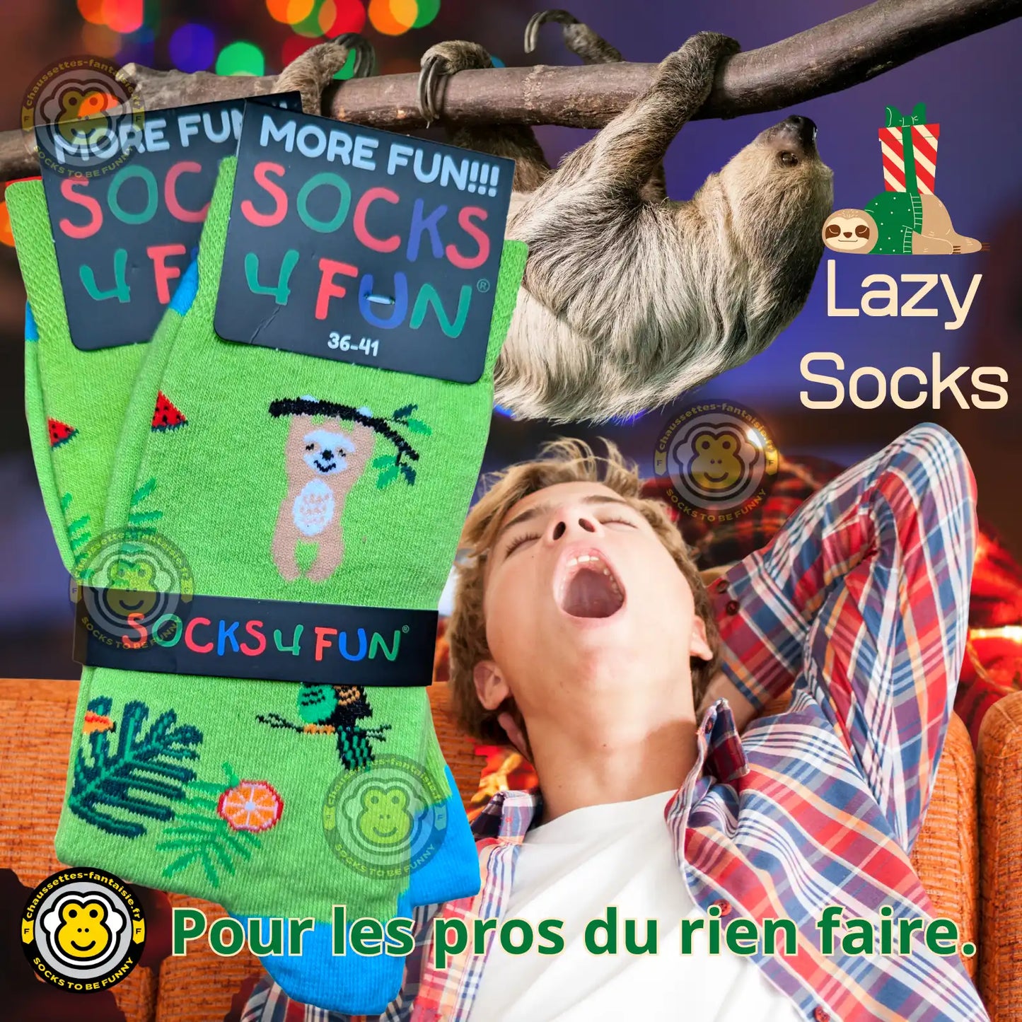 Chaussettes animaux exotiques, motif paresseux et forêt tropicale, parfaites pour les amoureux de la nature.
