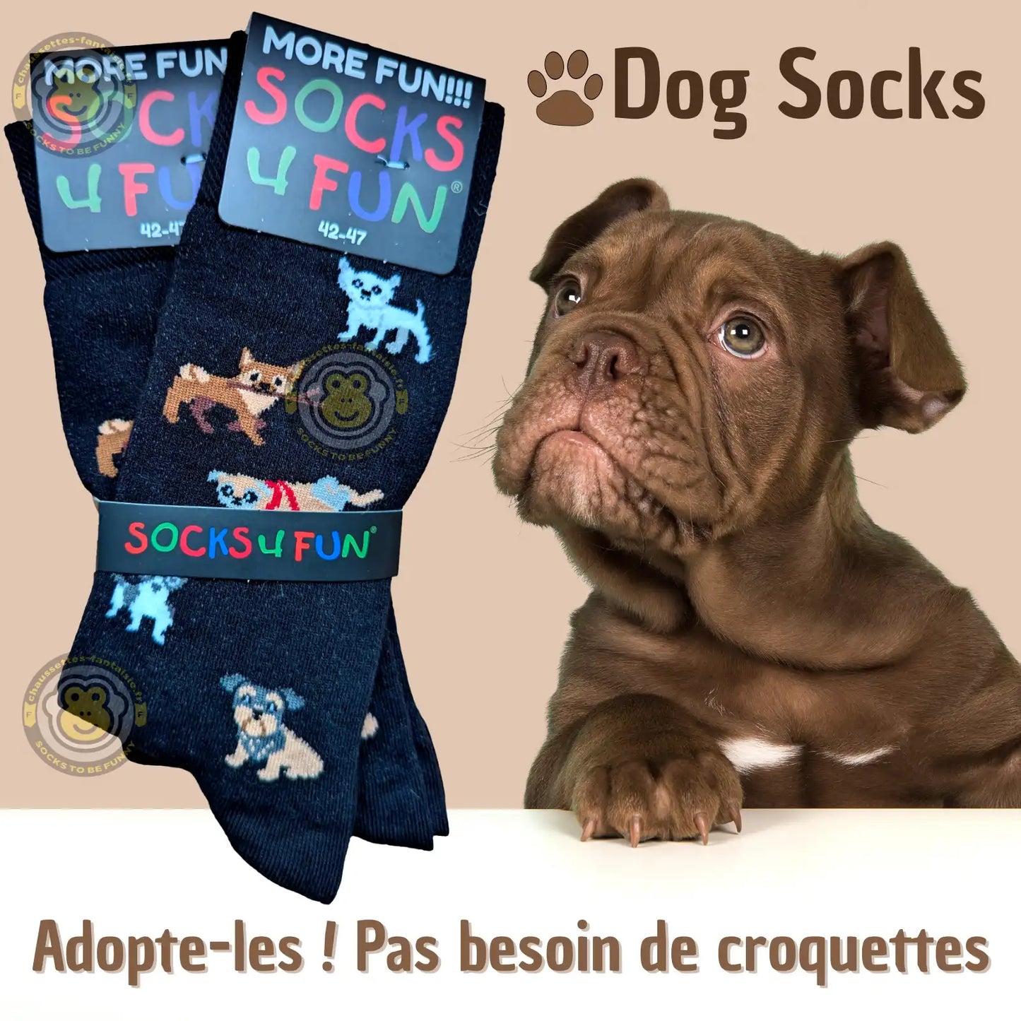Chaussettes rigolotes animal chien - Lot de 2 paires avec petits chiens colorés sur fond bleu.